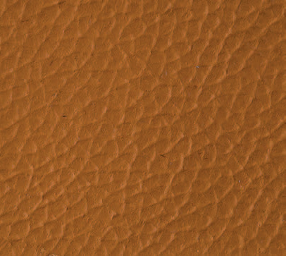 07-biscuit.jpg